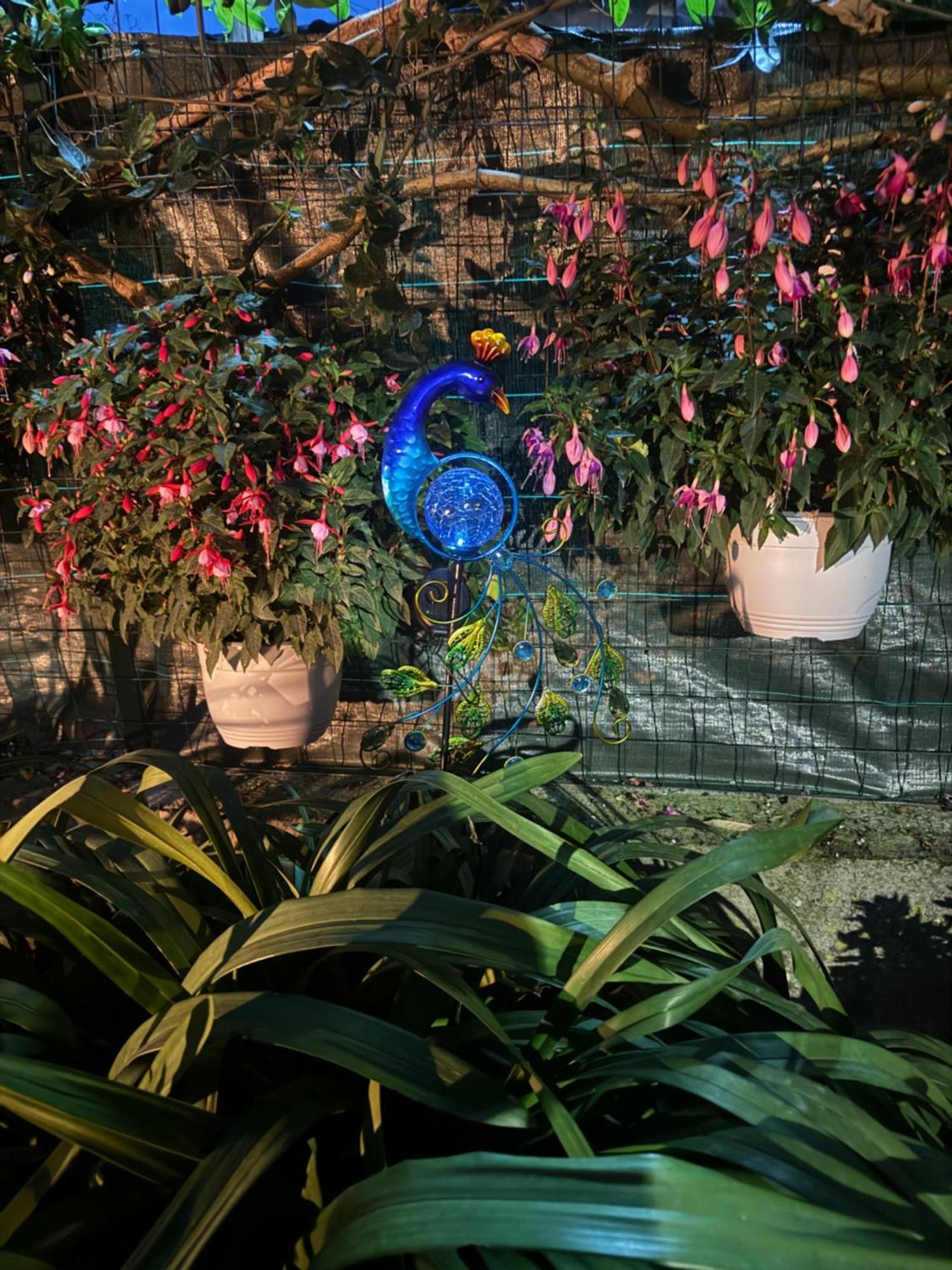 Ferienwohnung Il Limoneto Di Teresa Amalfi Coast Maiori Exterior foto