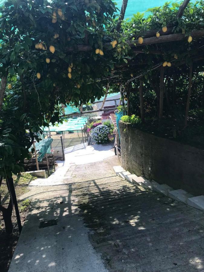 Ferienwohnung Il Limoneto Di Teresa Amalfi Coast Maiori Exterior foto