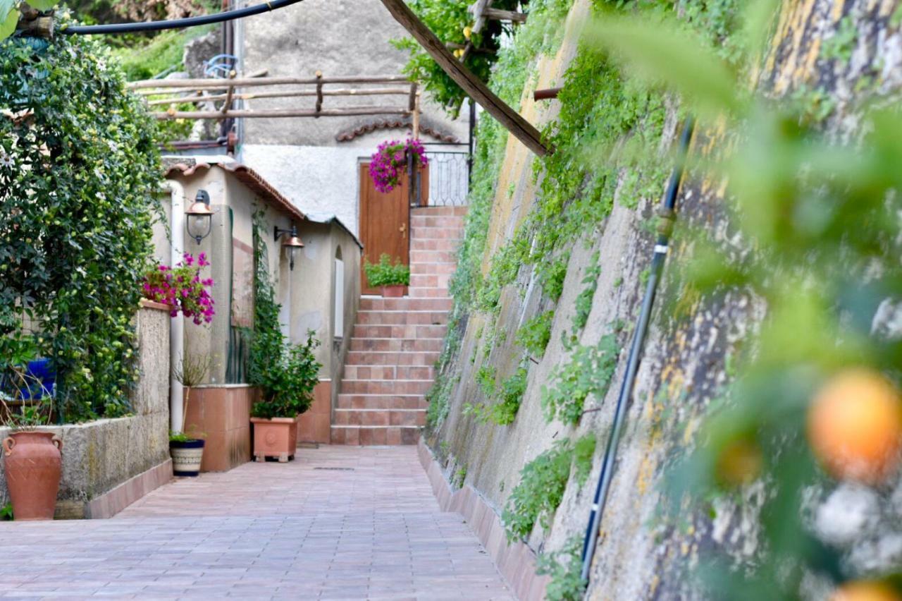 Ferienwohnung Il Limoneto Di Teresa Amalfi Coast Maiori Exterior foto